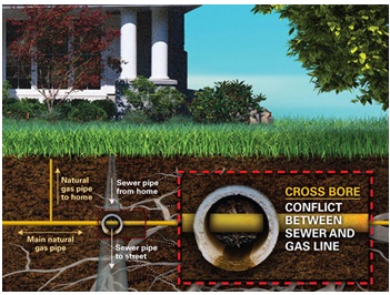 grass, home, underground, words