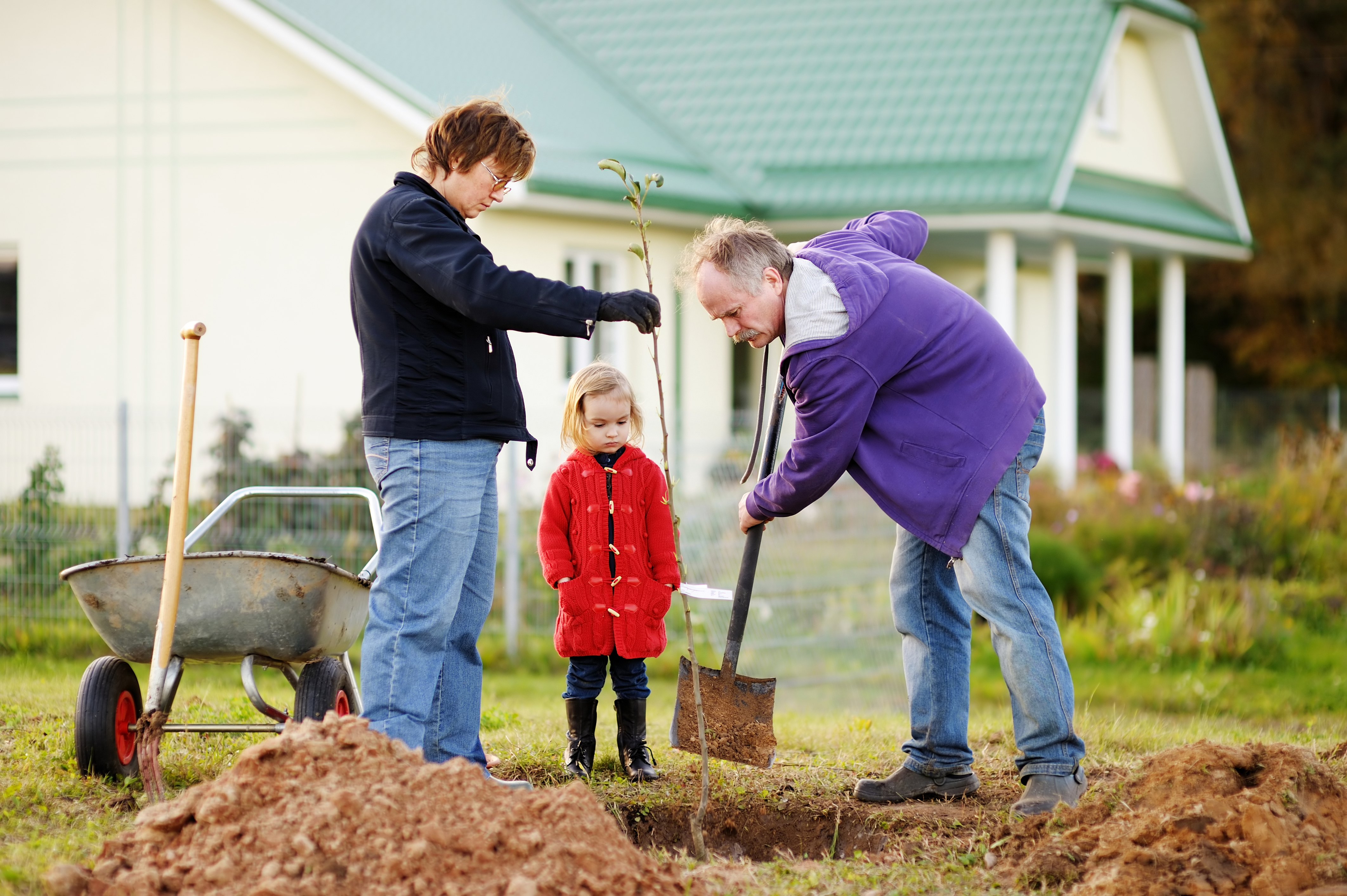 family digging tree